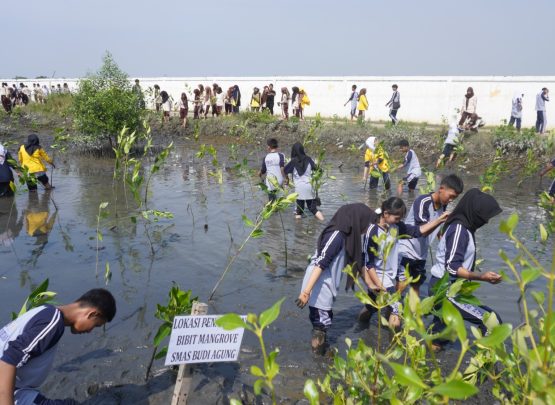 Ratusan siswa SMA Budi Agung sengaja dilibatkan darlam penanaman ini sebagai upaya meningkatkan kesadaran pentingnya menjaga ekosistem pesisir kepada generasi muda.