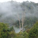 Dusun ini berada di blok timur kawasan ekosistem Batang Toru. Dari perbincangan yang panjang menggunakan bahasa Indonesia dan bahasa Batak, diketahui bahwa mereka sudah mendiami wilayah ini sejak raturan tahun yang lalu.