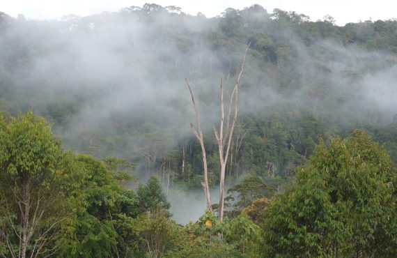 Dusun ini berada di blok timur kawasan ekosistem Batang Toru. Dari perbincangan yang panjang menggunakan bahasa Indonesia dan bahasa Batak, diketahui bahwa mereka sudah mendiami wilayah ini sejak raturan tahun yang lalu.