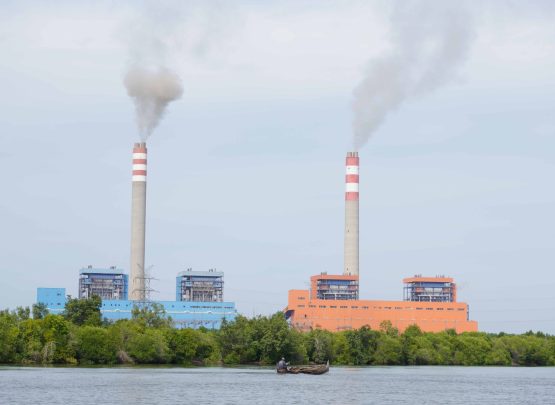 Hasil tangkapan menurun drastis. Banyak di antara nelayan yang beralih profesi menjadi buruh bangunan. Ditambah polusi udara yang muncul dari pembakaran batu bara, kesehatan warga dan pertanian warga terdampak.