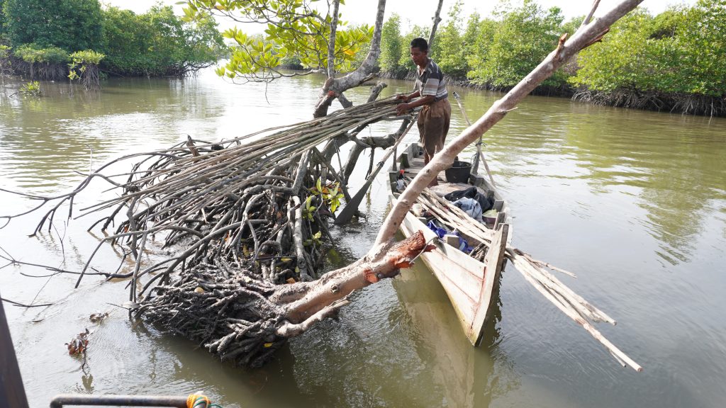 Selama bertahun-tahun warga Dusun Beras Basah, Desa Sei Siur, Kecamatan Pangkalan Susu, Kabupaten Langkat resah. Penderitaan mereka berlanjut setelah hutan mangrove berubah menjadi sawit dan tambak, kemudian muncul pembangkit listrik tenaga uap (PLTU) yang cerobong asapnya dapat terlihat jelas dari tempat mereka mencari ikan.