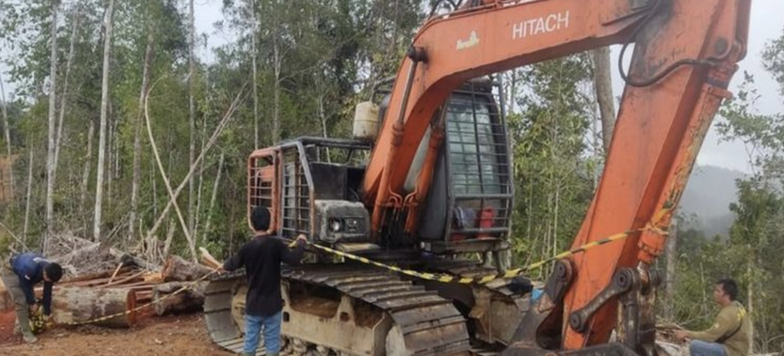 Petugas Ditjen Gakkum Kehutanan menyegel alat berat dan kayu yang diduga hasil pembalakan liar di kawasan hulu Sungai Batang Toru, Tapanuli Selatan. Kasus ini diduga terkait praktik illegal logging terorganisir. (Dok. Gakkum Kehutanan)