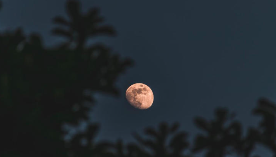 Bulan Purnama Pink