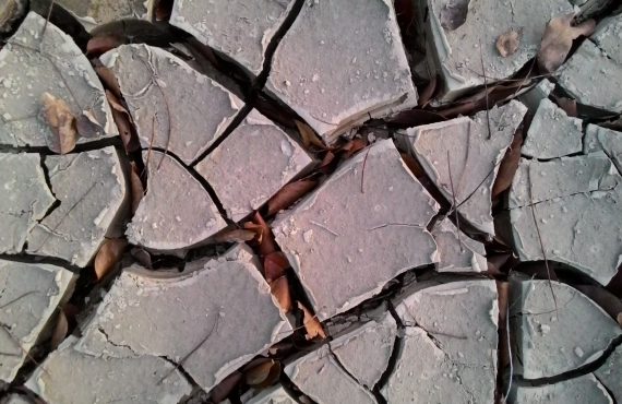 Ribuan titik panas terdeteksi di kawasan gambut, termasuk di wilayah konsesi perkebunan dan kehutanan di Riau dan Kalimantan Barat. (Pixabay)