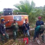 Satu unit ekskavator diduga digunakan untuk membuka akses jalan dalam kawasan hutan Bentang Alam Seblat sebelum akhirnya diamankan penyidik. (Dok. Gakkum Kehutanan)