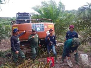 Satu unit ekskavator diduga digunakan untuk membuka akses jalan dalam kawasan hutan Bentang Alam Seblat sebelum akhirnya diamankan penyidik. (Dok. Gakkum Kehutanan)