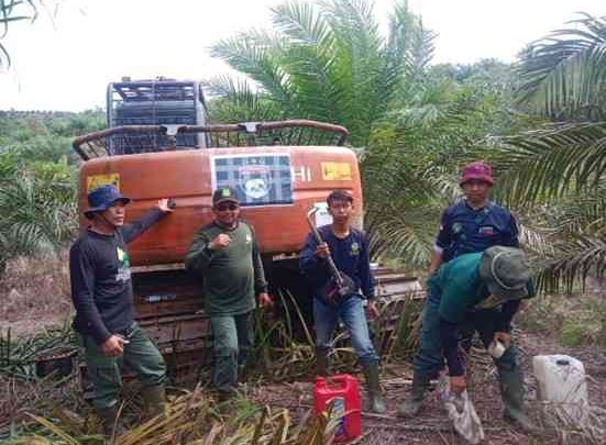 Satu unit ekskavator diduga digunakan untuk membuka akses jalan dalam kawasan hutan Bentang Alam Seblat sebelum akhirnya diamankan penyidik. (Dok. Gakkum Kehutanan)