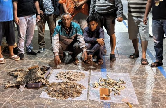 Polisi menunjukkan barang bukti hasil pengungkapan kasus perdagangan ilegal satwa dilindungi di Mapolres Padangsidimpuan.
