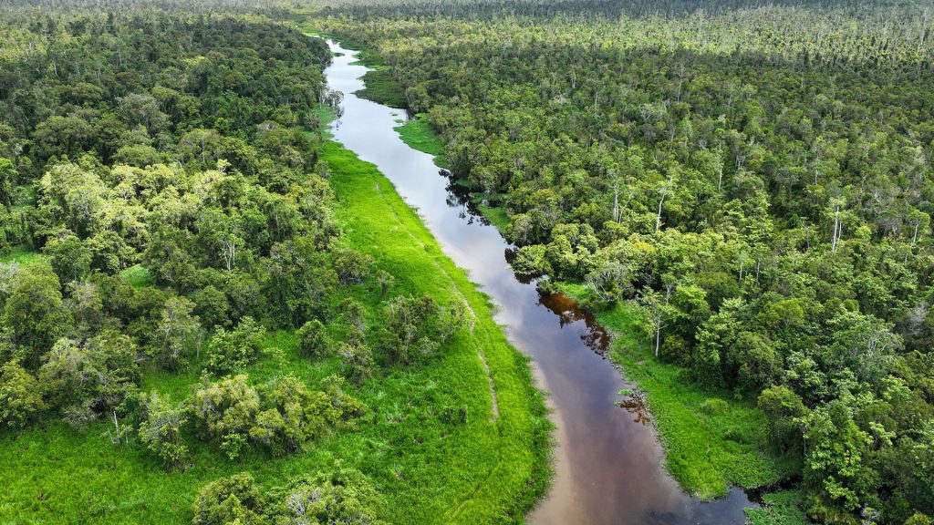 Potret SM Rawa Singkil dari atas. Aceh, Jumat (10/7/2026). Evaluasi tidak hanya menilai status kawasan, tetapi juga memastikan fungsi perlindungan ekosistem gambut dan habitat satwa liar, termasuk orangutan Sumatera dan harimau Sumatera, tetap berjalan secara efektif. (Junaidi Hanafiah)