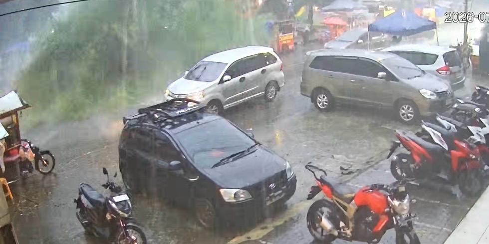 Pohon Tumbang di Binjai