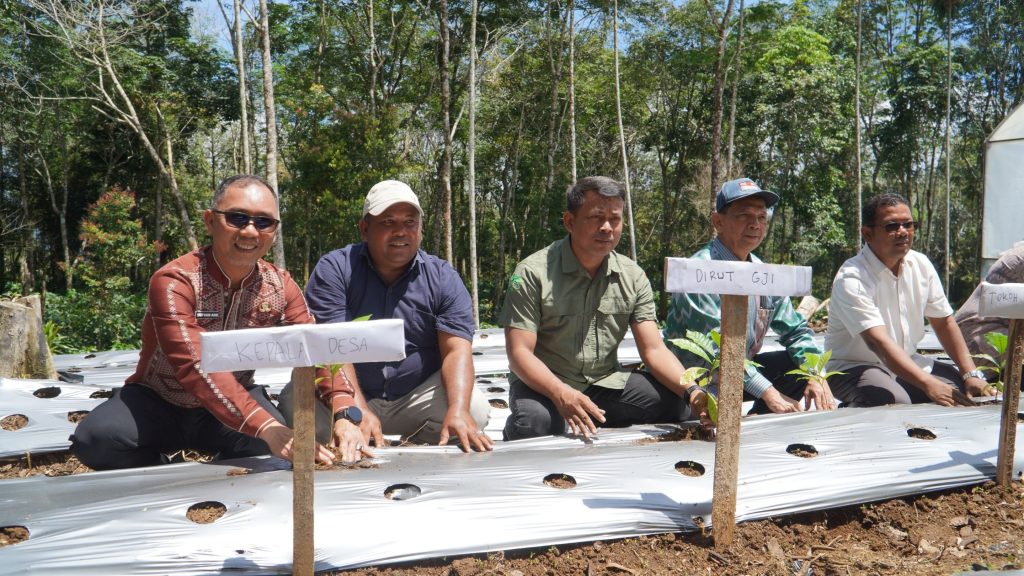 Usai peresmian dry house LPHD Permata Hijau, seluruh narasumber diskusi melakukan penanaman bibit kopi secara simbolis.