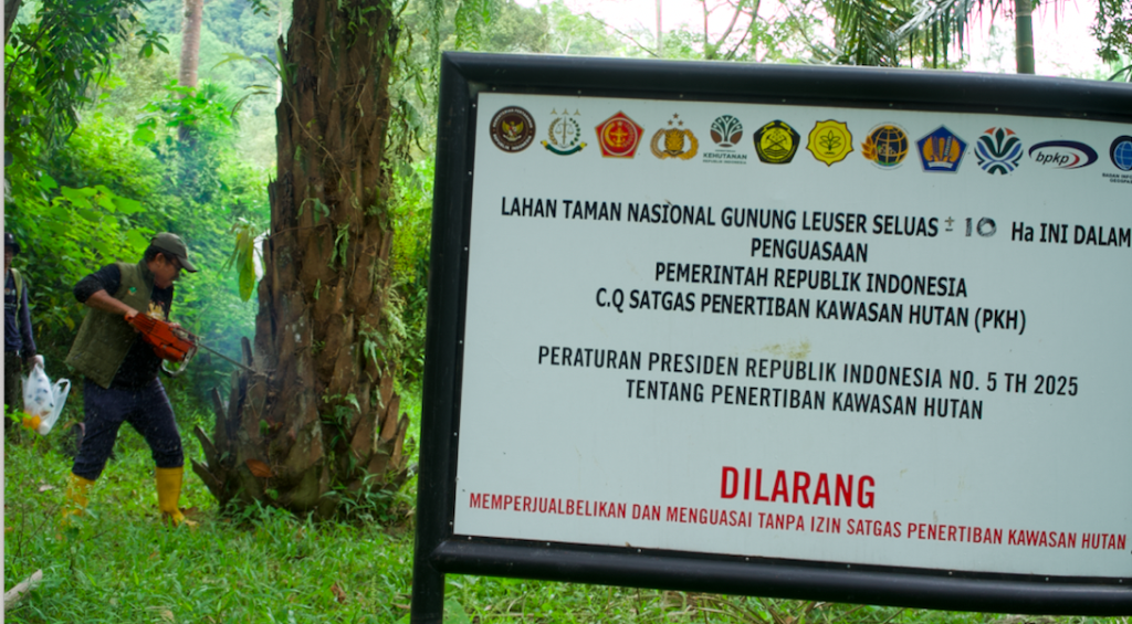 Penumbangan phon sawit