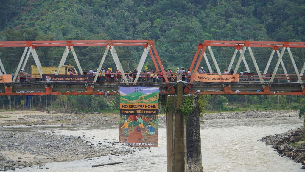 Spanduk raksasa “No Second Home, Restore Their Forest” dibentangkan di Jembatan Trikora, Batang Toru, pada 19 Agustus 2026 sebagai bagian dari peringatan Hari Orangutan Internasional dan penutup Ekspedisi Hutan Merdeka, perjalanan bersepeda lebih dari 1.700 kilometer dari Jakarta ke Batang Toru yang diinisiasi Satya Bumi.