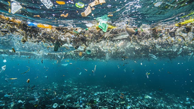 Ilustrasi - sampah
