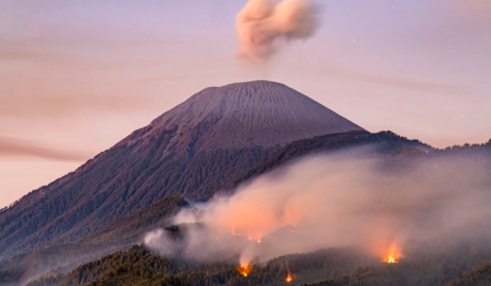 Suasana api membakar kawasan hutan di lereng Gunung Semeru, kawasan Taman Nasional Bromo Tengger Semeru (TNBTS), Lumajang, Jawa Timur, Senin (31/8/2026). ANTARA FOTO/Irfan Sumanjaya