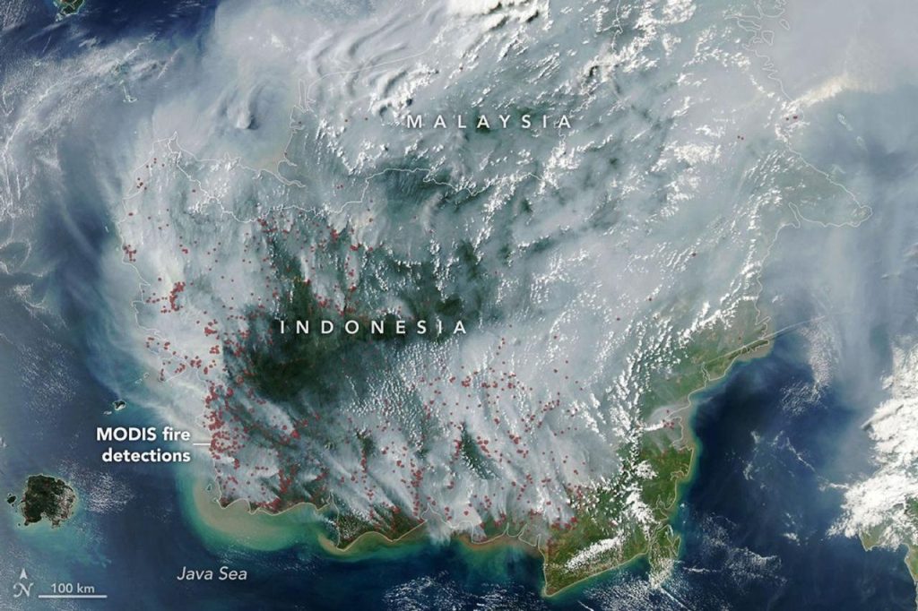 Postingan NASA di X