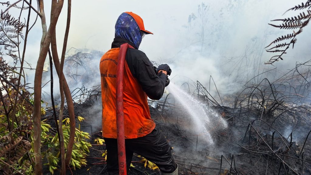 Tim BPBD Kabupaten Bulungan berupaya memadamkan api yang membakar lahan di dua kecamatan yang ada di Kabupaten Bulungan, Provinsi Kalimantan Utara, pada Kamis (3/9).